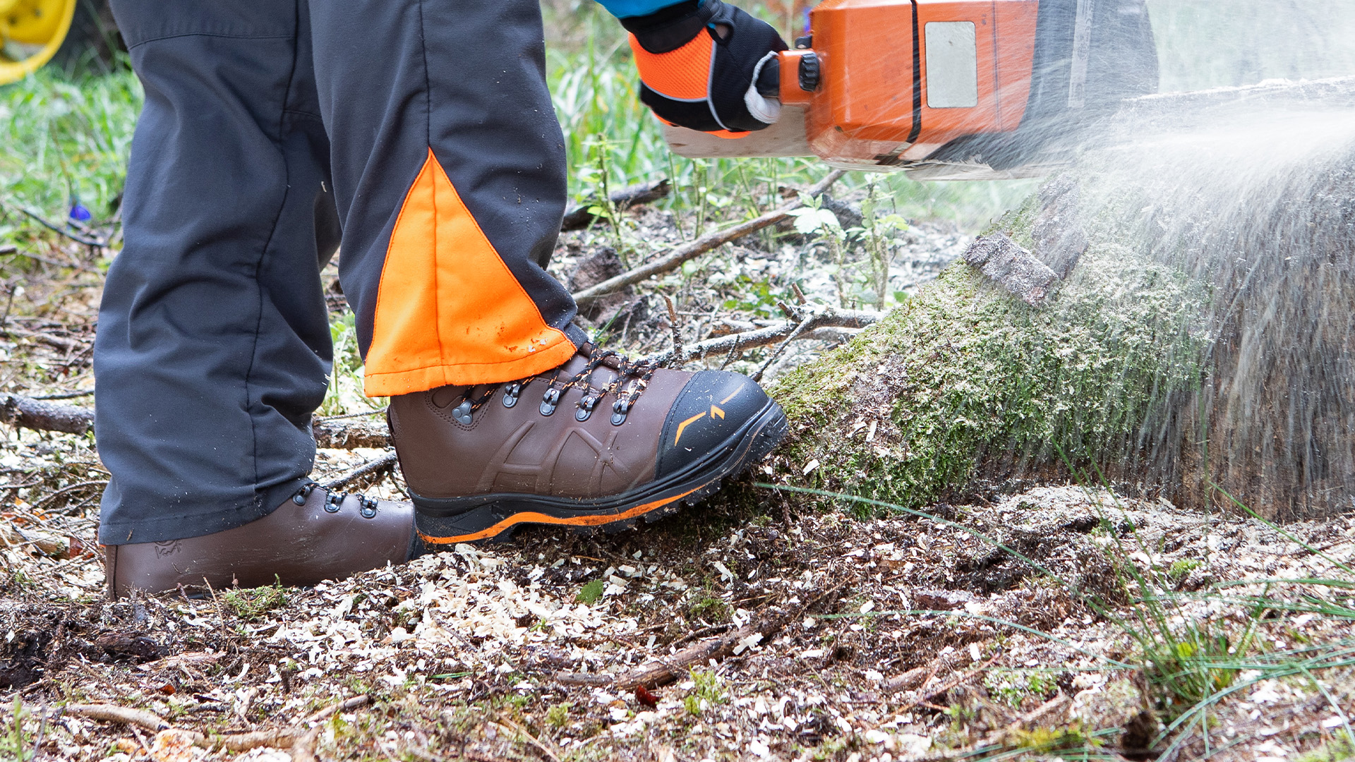 602018_trekker-mountain-2