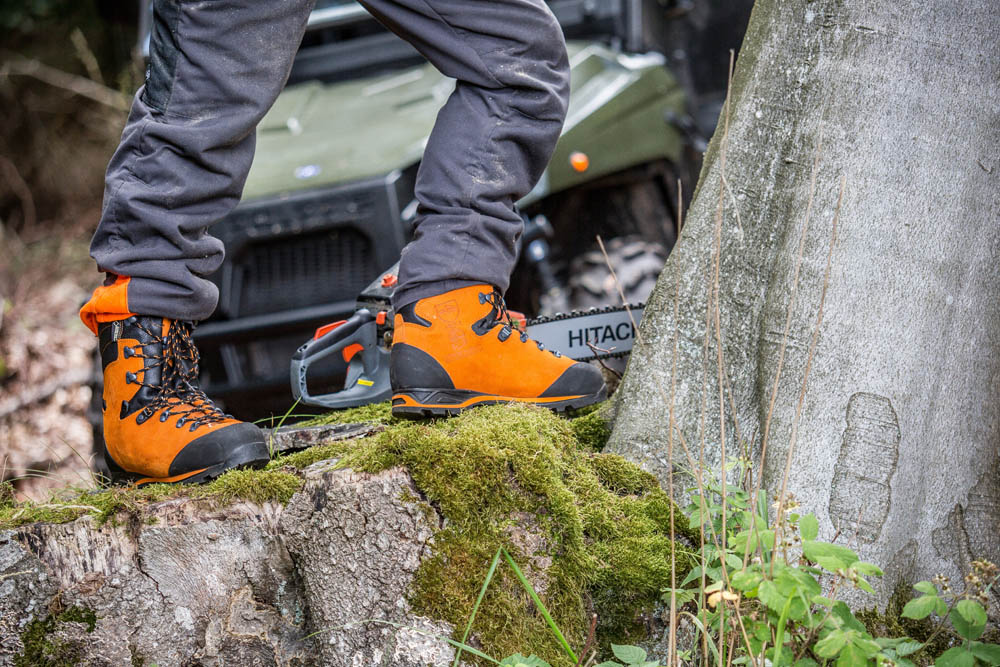 603101_protector-forest_ora_act21 603101_protector-forest_ora_act2101910