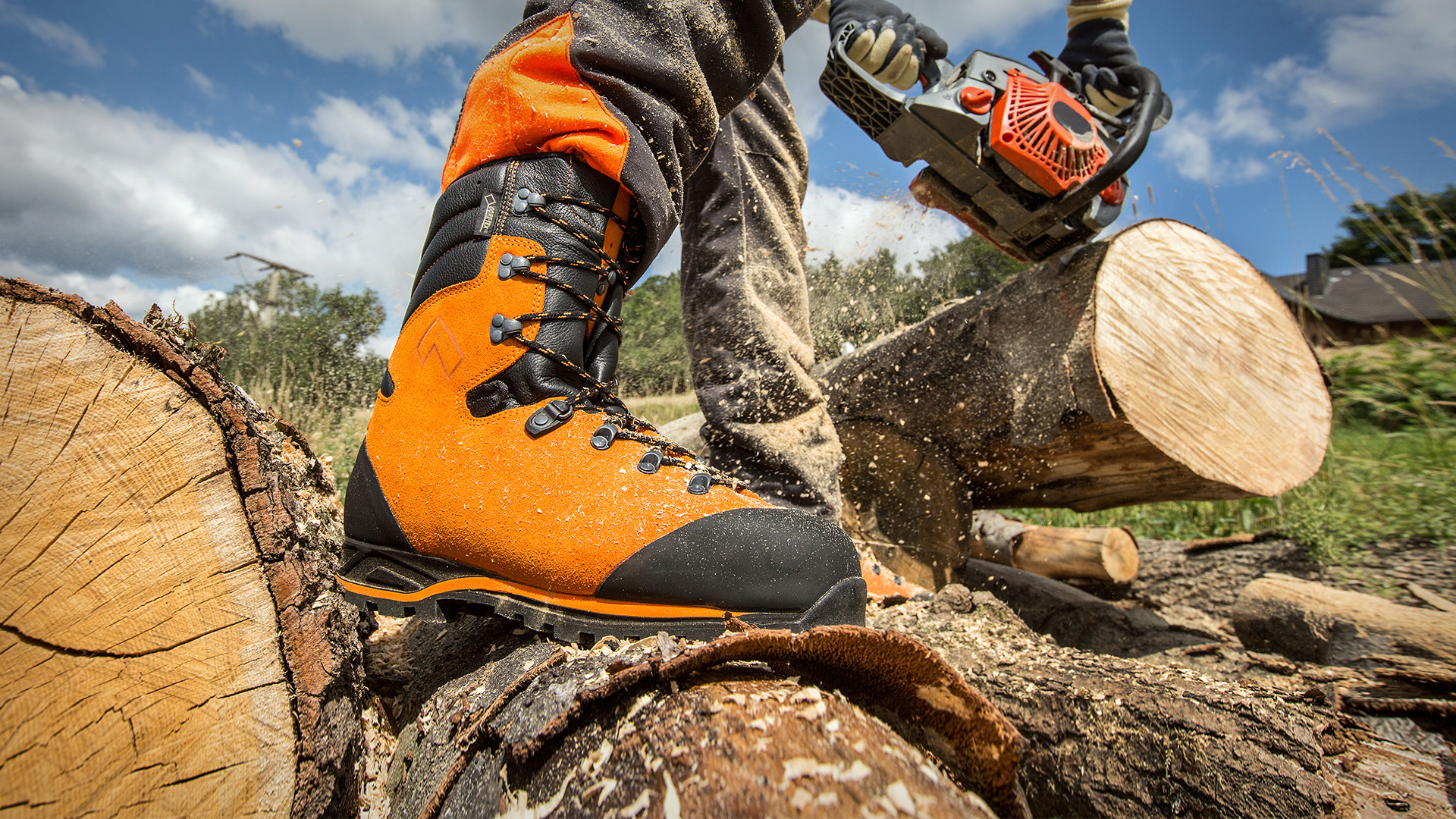 603101_protector-forest7wUp77nr8c043 603101_protector-forest7wup77nr8c043