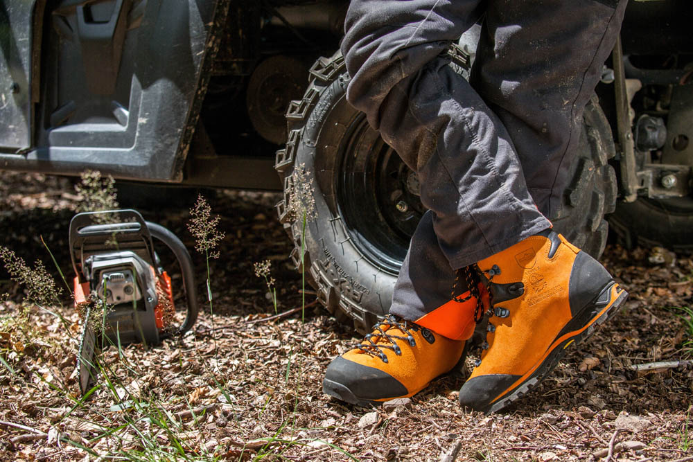 603101_protector-forest_ora_act17 603101_protector-forest_ora_act1701910