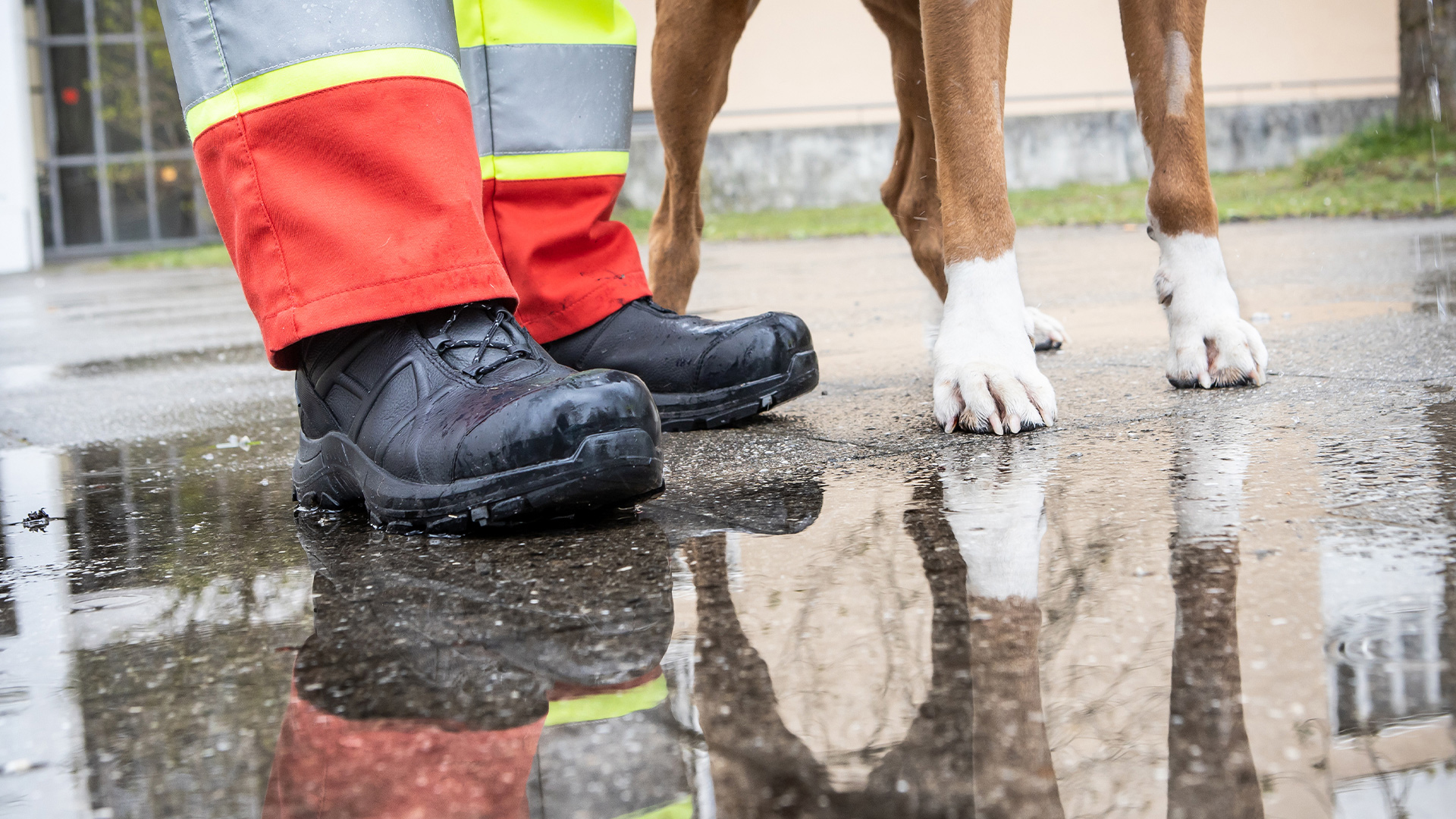 620032_rescue_oneu1zziodvfvkjf